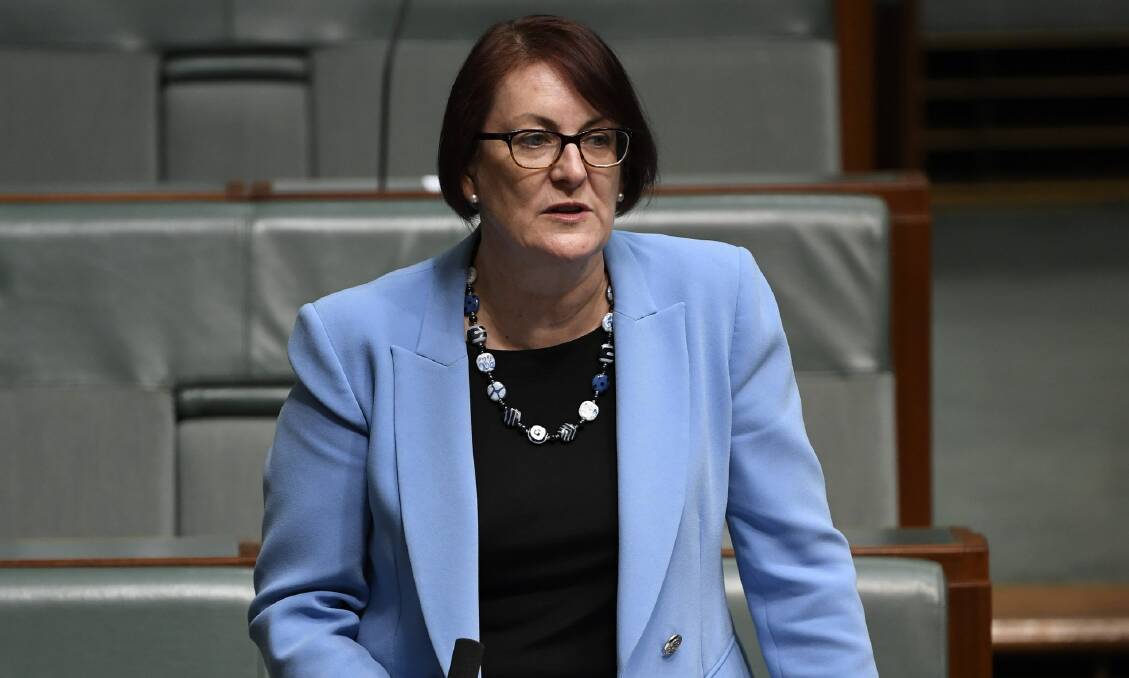 Federal Member for Macquarie Susan Templeman in Federal Parliament. File photo.