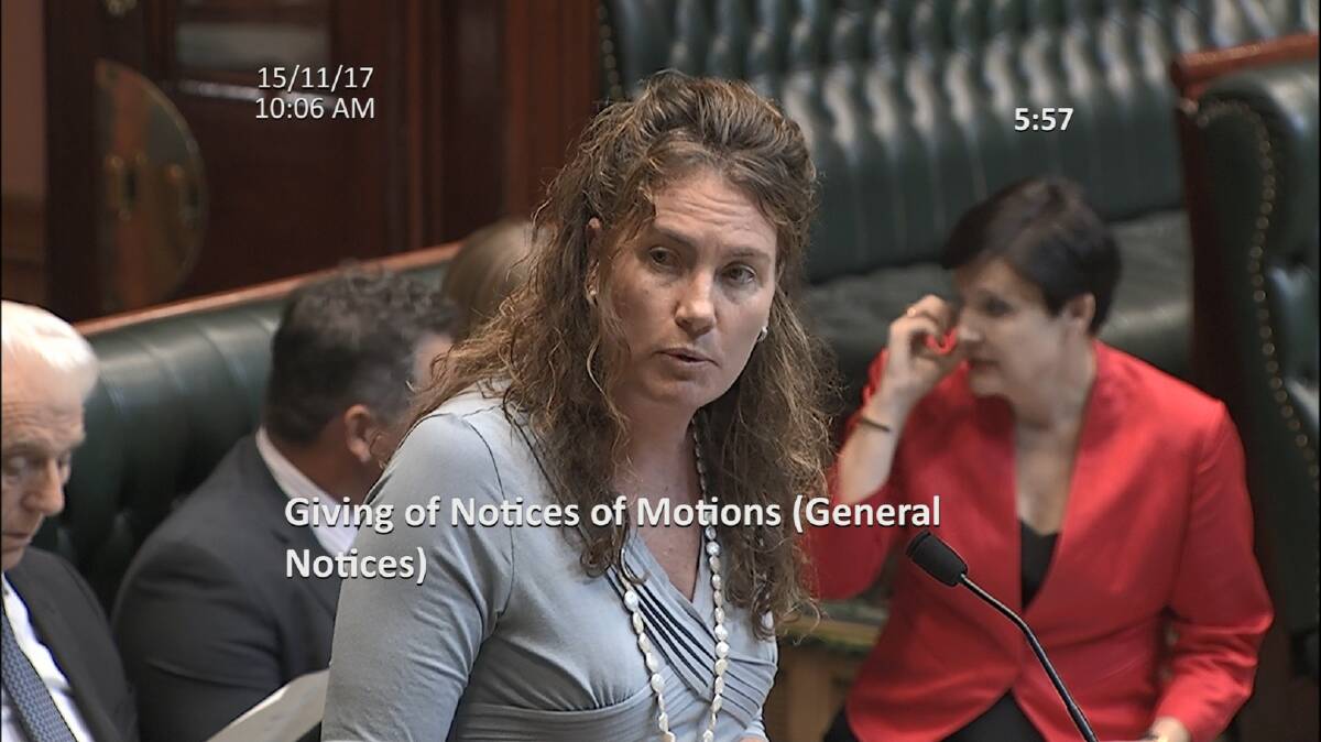 Blue Mountains MP Trish Doyle in NSW Parliament on November 15.