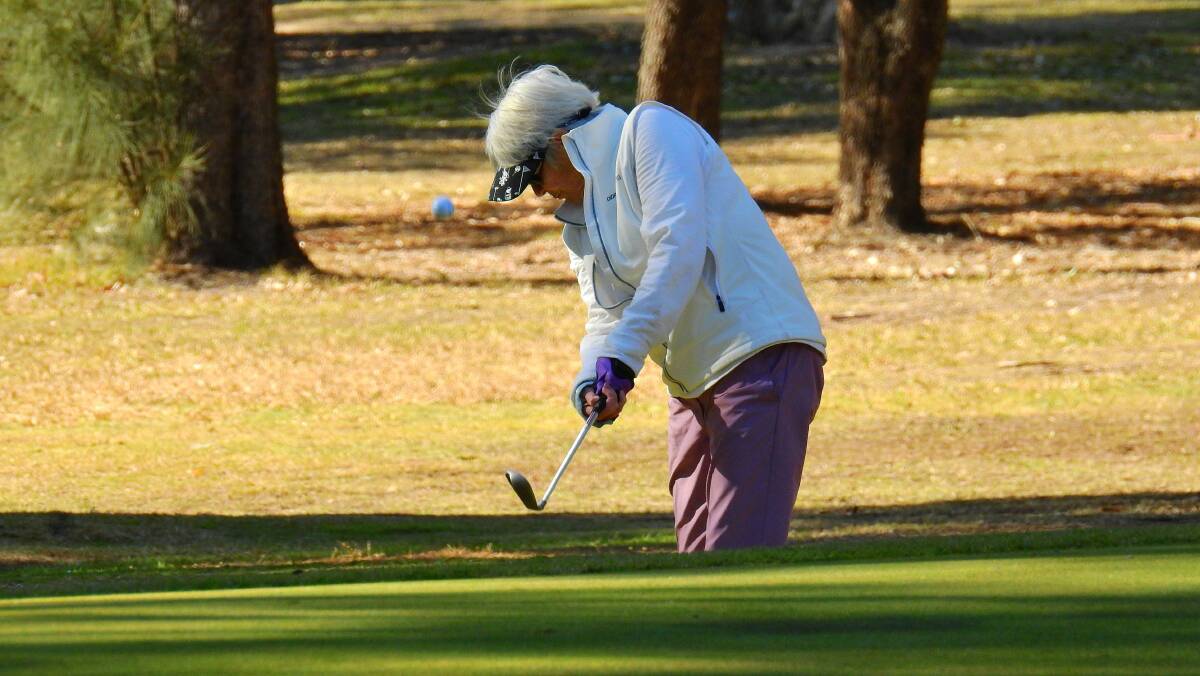 Springwood members  Elizabeth Paynter in action at Leonay GC during the July Inter-Club event - photos courtesy of Noel Rowsell (www.photoexcellence.com.au)
