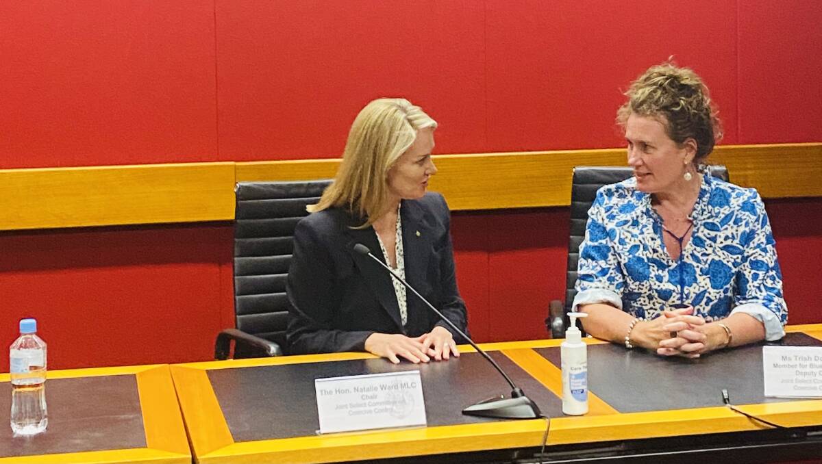 Chair and deputy of the Joint Select Committee on Coercive Control, Natalie Ward MLC, with Blue Mountains MP Trish Doyle.
