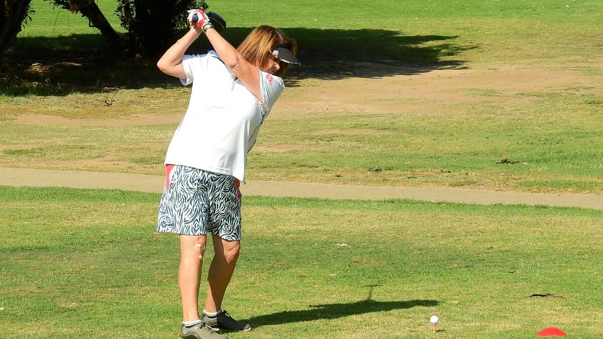 NSWVGA State Medal winner Sue Evers of Springwood Country Club in action during the final Inter-Club event for the year. Photo courtesy of Noel Rowsell (www.photoexcellence.com.au).