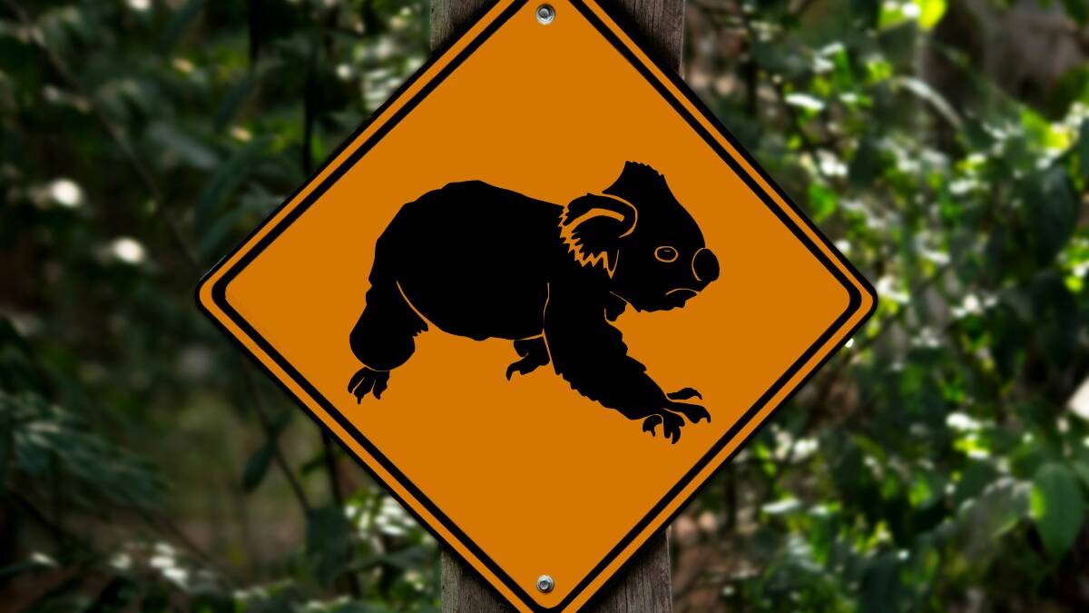 Signs to help save wildlife
