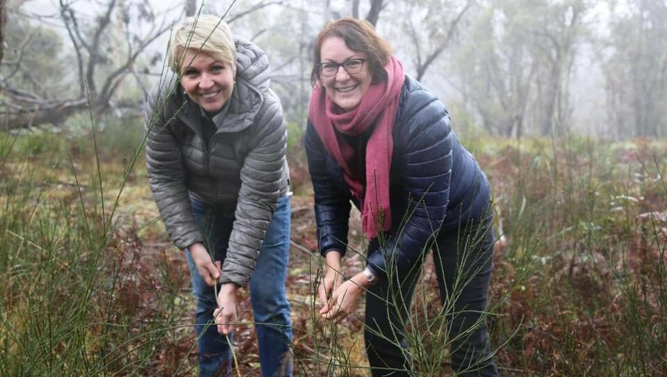 Federal Environment and Water Minister Tanya Plibersek and Macquarie MP Susan Templeman in Blackheath. Picture supplied