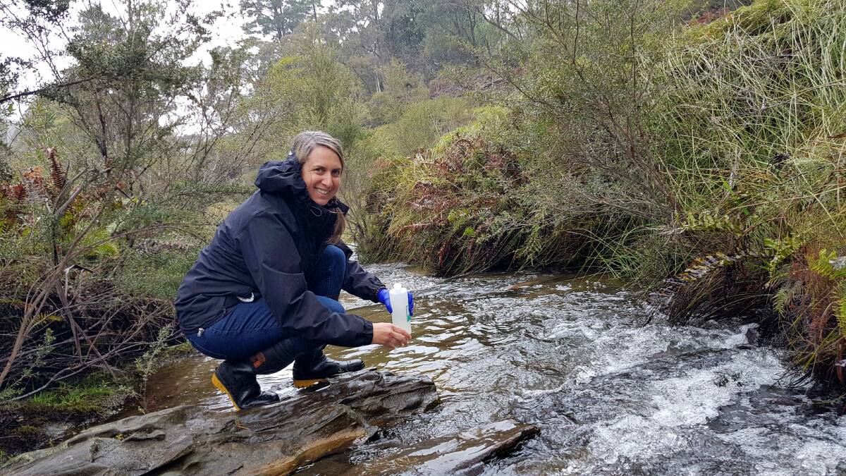 Blue Mountains City Council's healthy waterways officer Gillian Fitzgerald testing our waterways.