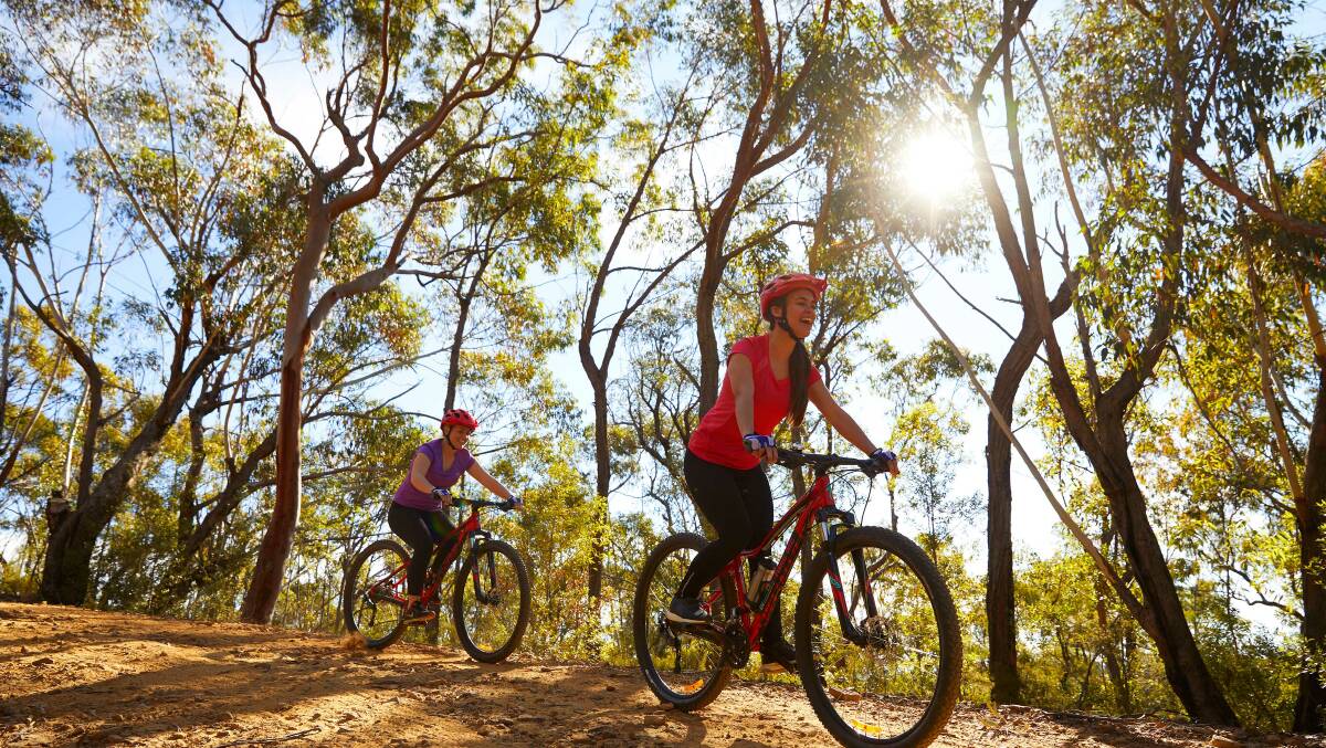 Wake up: Cycling in the Blue Mountains. Photo: Destination NSW