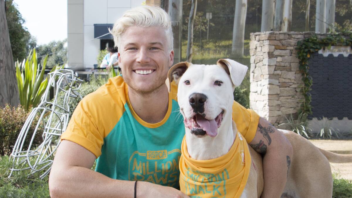 Dog day out: 2DayFM national host Angus O'Loughlin with Rosie - proud supporters of the RSPCA's Million Paws Walk.