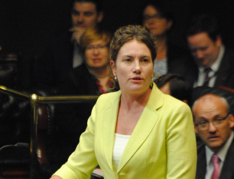 Blue Mountains MP Trish Doyle in NSW Parliament. File photo.