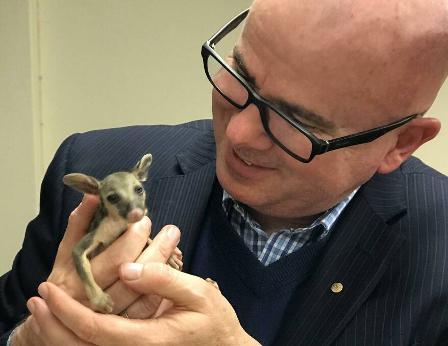 Mayor Mark Greenhill with a possum.