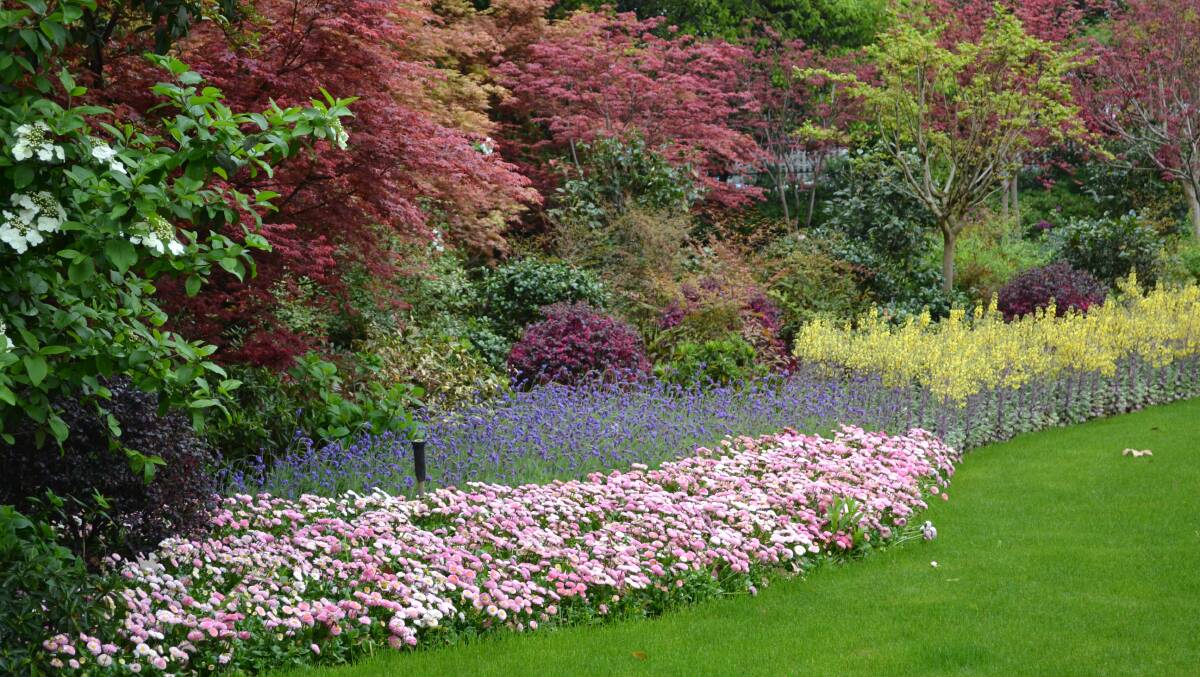 Perennials are plants that persist for several years, unlike their annual counterparts that will only last a season. Picture: supplied.