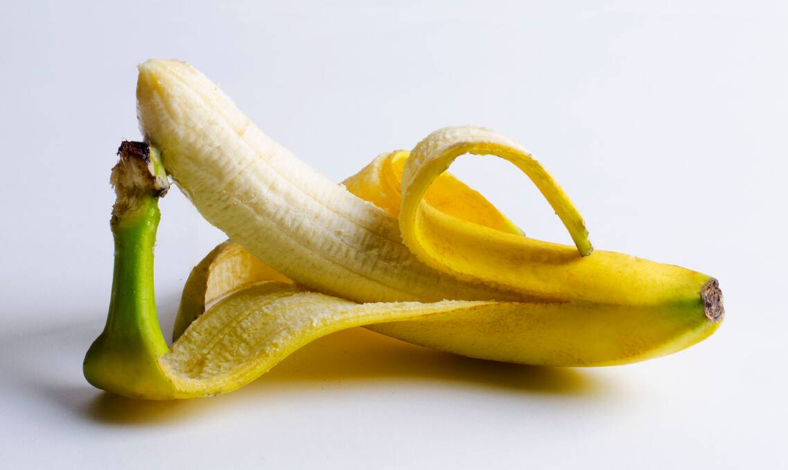 Can a polyester bag help keep your bananas at the perfect stage of  ripeness? | Blue Mountains Gazette | Katoomba, NSW