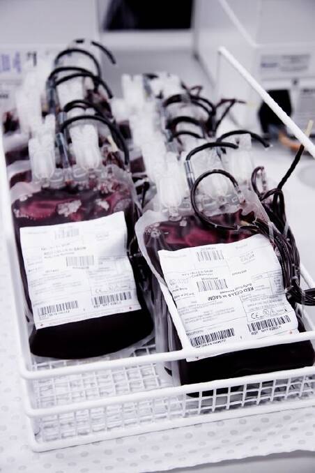 Red cells ready for transfusion.