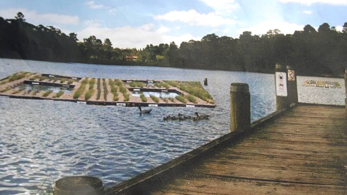 Talking to council about the proposal: An island platform to help turtle hatchlings on Wentworth Falls Lake.