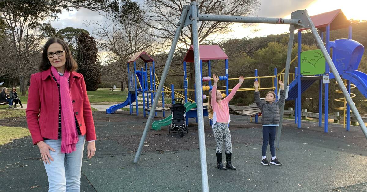 One of the region's four district parks has been left without popular playground equipment