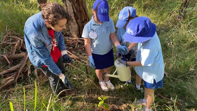 Planting: Youth councillor Tamsyn McGrouther assists Winmalee Public School students Charli Maples, Monique Loughman and Evelyn Dacey.