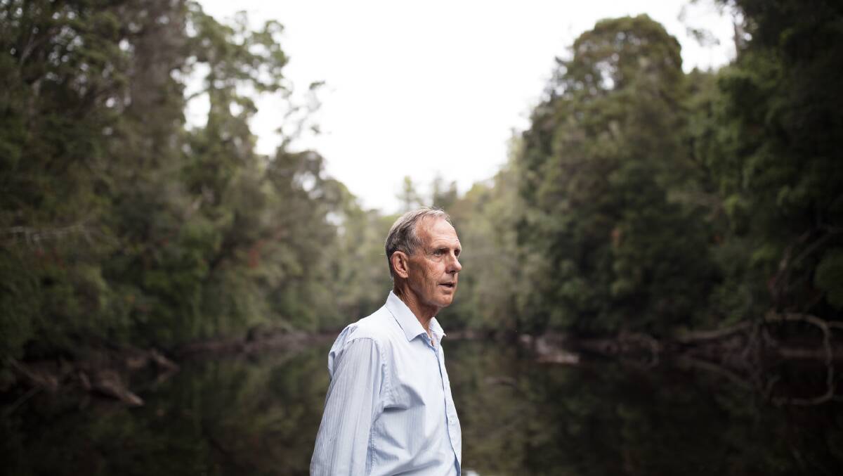 In one of the oldest growth Gondwanan rainforest in the world: Former Greens leader Bob Brown has questioned the sustainability of the industries there.