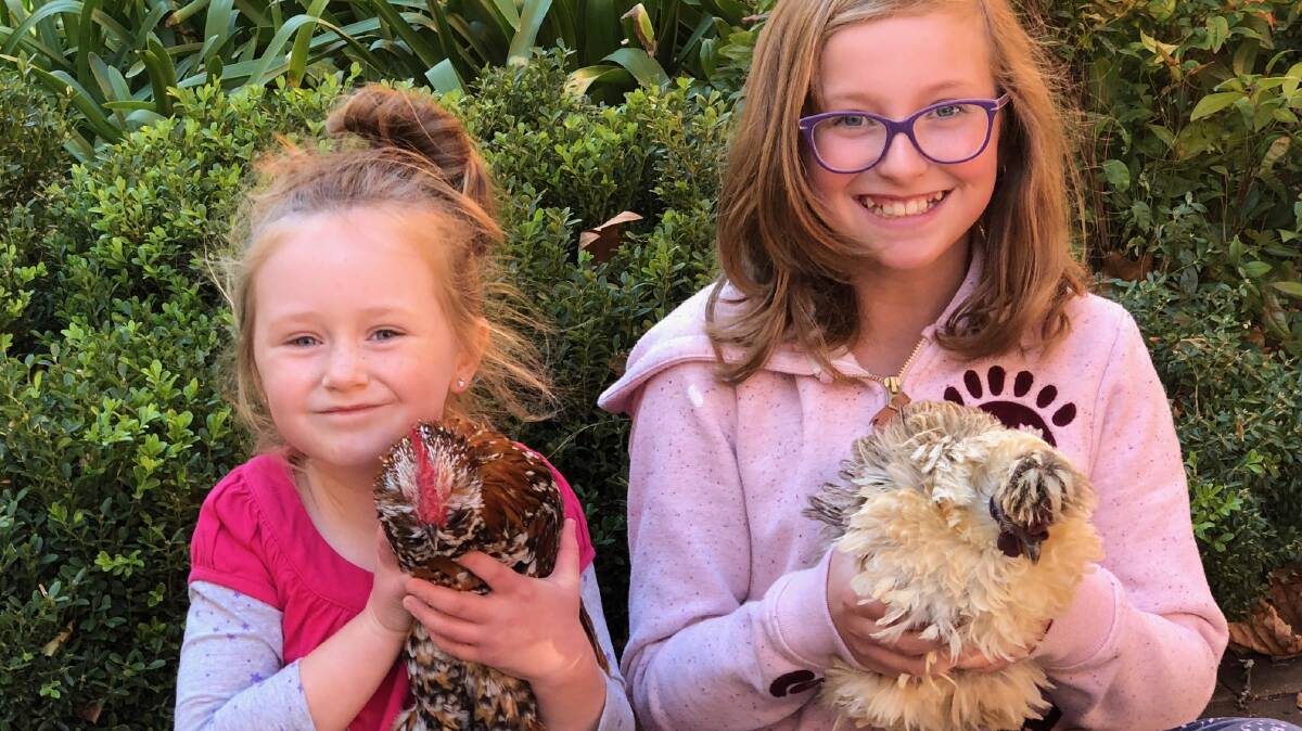 Winners are grinners in the Pet Chook Show competition. 