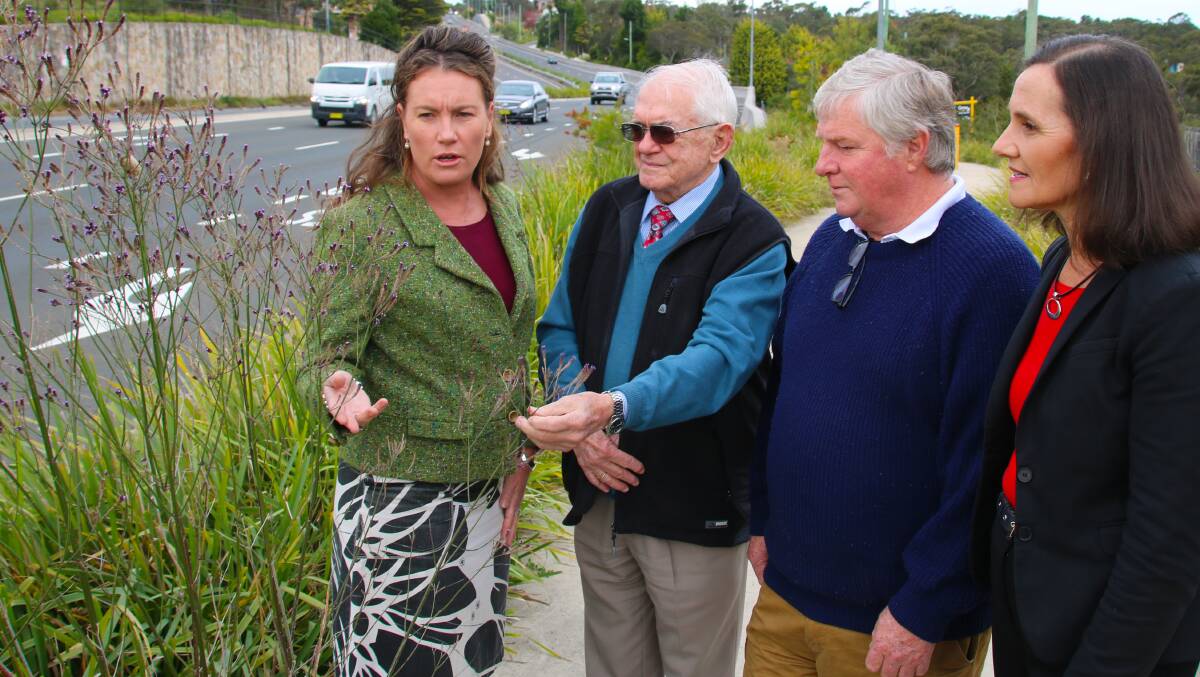 Highway weeds are council’s problem at Wentworth Falls says the State Government: Trish Doyle MP, John Johnston, Stuart Grigg and Cr Romola Hollywood inspect a 6 foot tall weed in the garden beds alongside the highway at Wentworth Falls.

 