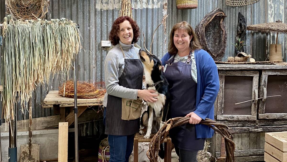 Wonderful world of weaving: Sisters Carolyn Dance and Jillian with Simba the kelpie cattle cross dog in their Hazelbrook studio workshop.