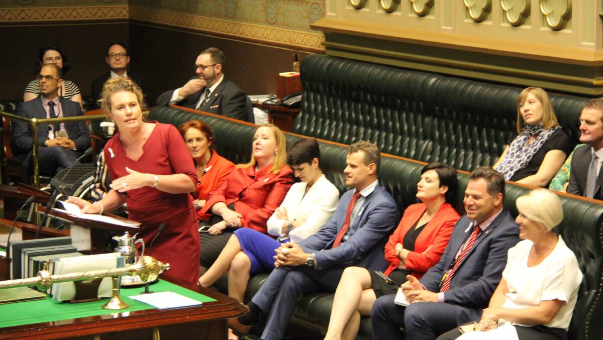 Speech in Parliament: Blue Mountains MP Trish Doyle has named Liberals who she claims tried to "smear" her name in the lead-up to the state election in March.