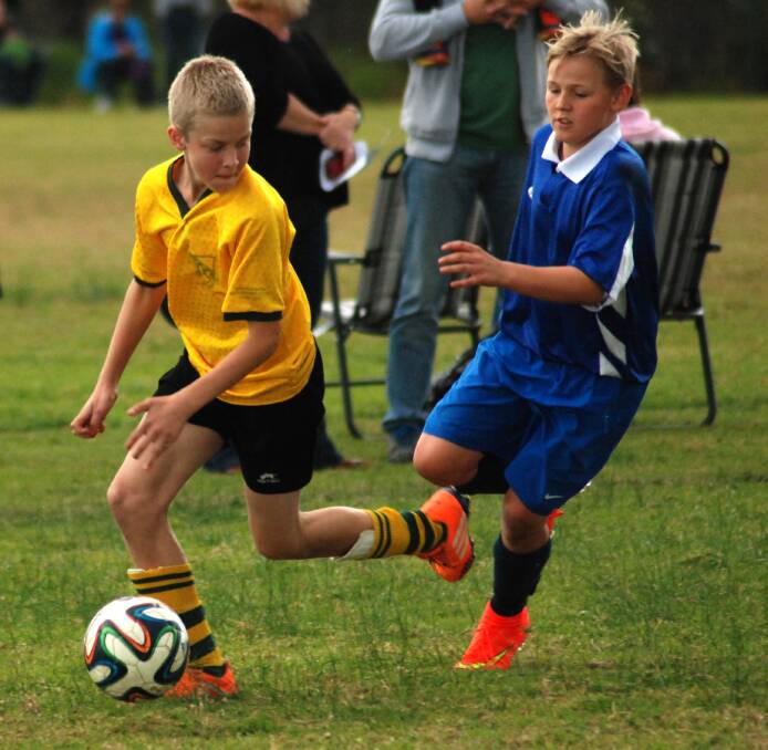 Winmalee Public School's Harrison Saunders (in blue) chases possession with an East Blaxland Public School opponent during a soccer match at the Winmalee Cup.
