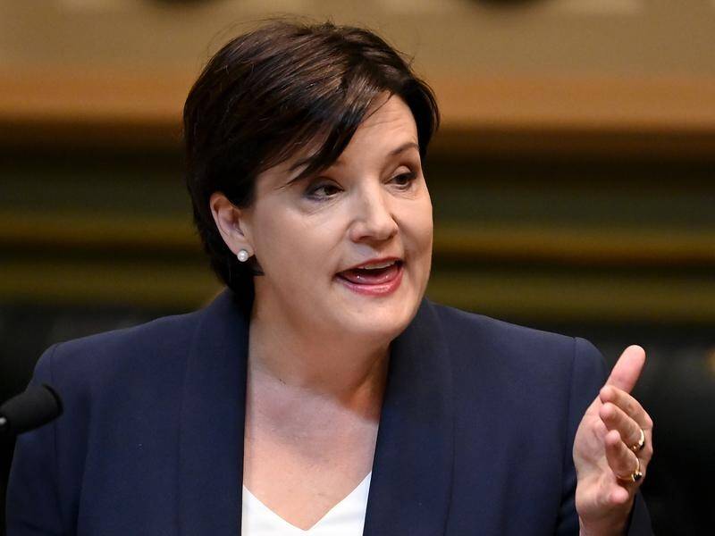 Opposition Leader Jodi McKay criticised the NSW budget for further privatising the state's assets.