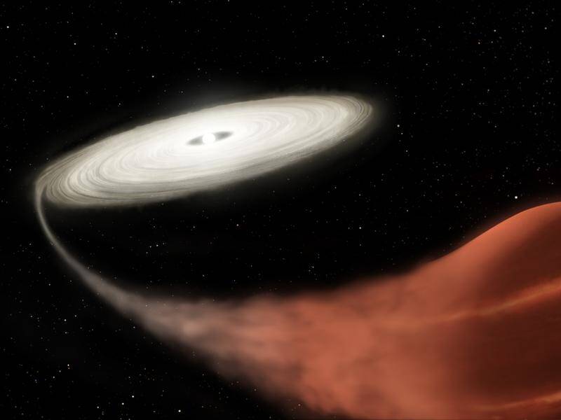 Astronomers say a 'vampire' star may offers answers to the origins of life and solar systems.
