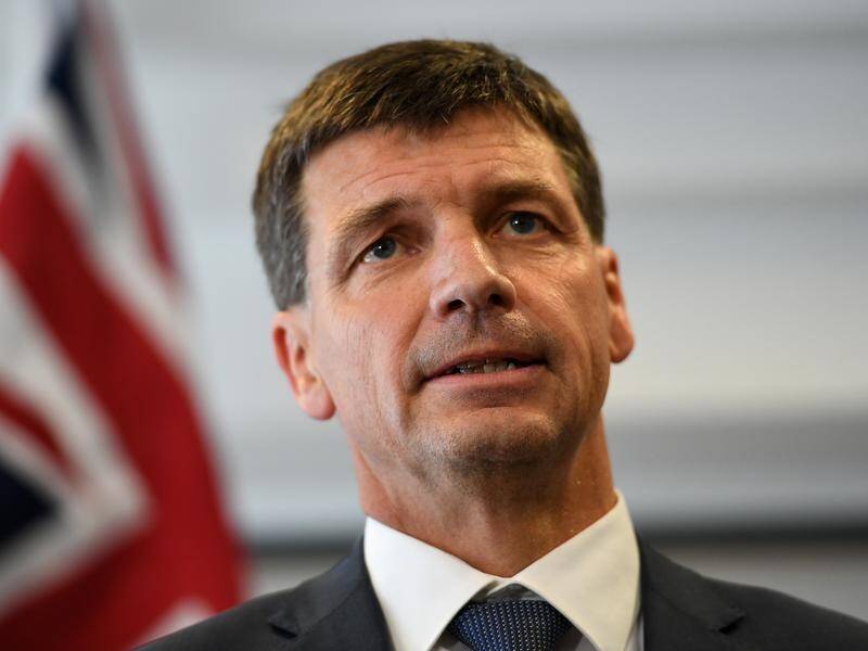 Australia will reach its emissions reduction targets, federal Energy Minister Angus Taylor insists.