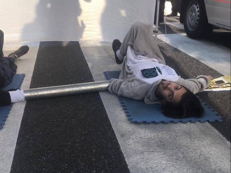 An animal rights activist who glued himself to a road in Brisbane's CBD has been fined.