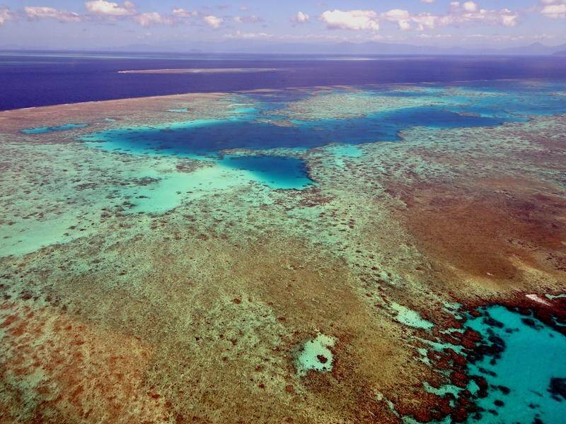 The Great Barrier Reef is now one of 18 world heritage sights deemed to be in a critical condition.