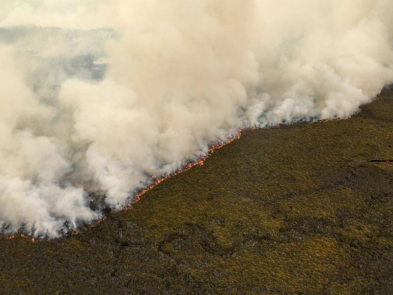 The Gell River bushfire in Tasmania has burned through about 20,000 hectares of wilderness.