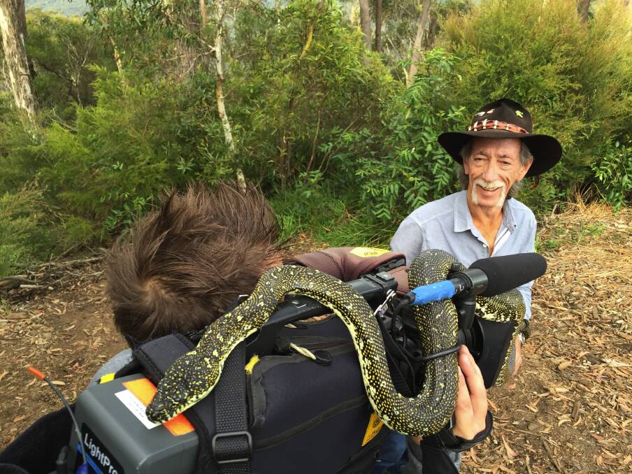 Don't get too close: The snake man of Lawson, Neville Burns, loves to poke under rocks and pick up some of the world's most dangerous snakes around the Mountains, even though their bite could be fatal to him. This diamond python stole the limelight during the filming of his DVD.