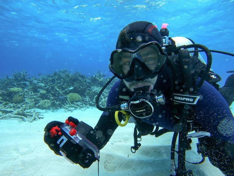 Until now, reef scientists have had to analyse health monitoring images manually.