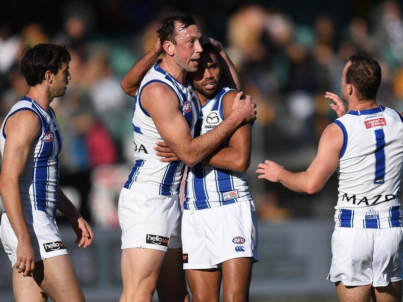 North Melbourne players celebrate during their seven-point AFL basement victory over Hawthorn.
