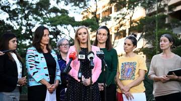 The birth trauma committee chaired by MP Emma Hurst paid tribute to the bravery of witnesses. (Bianca De Marchi/AAP PHOTOS)