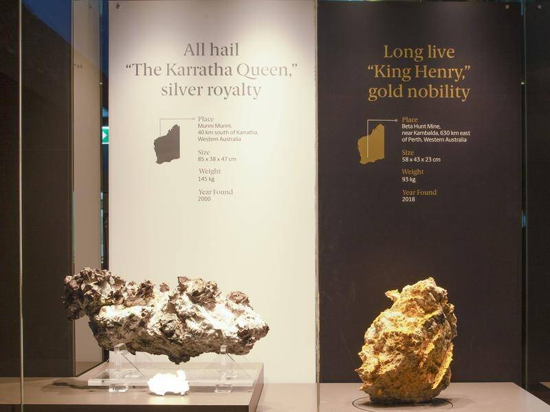 "The Karratha Queen" and "King Henry" are the stars of a new exhibition at The Perth Mint.