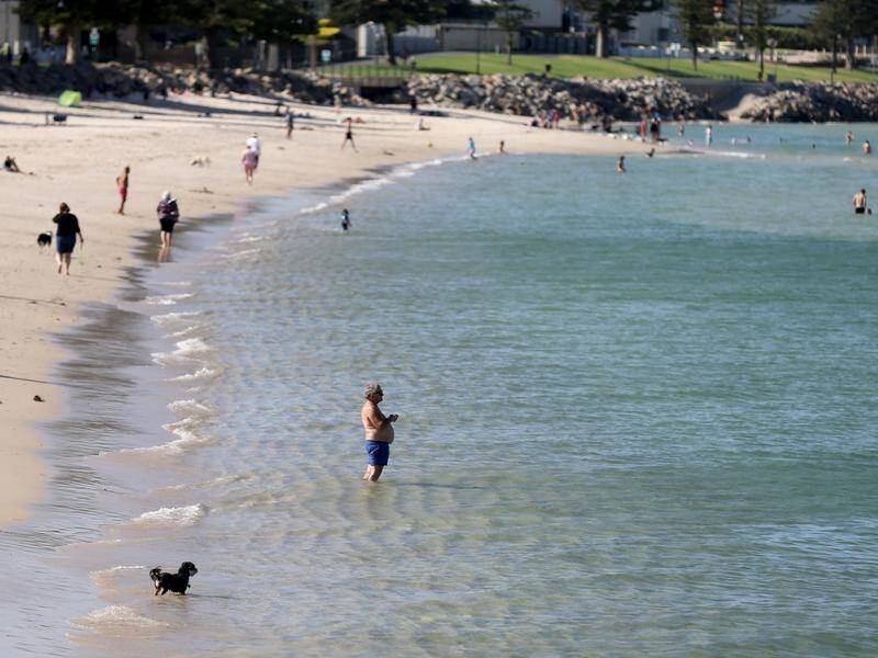 The South Australian budget has allocated $50 million to restore sand to Adelaide's beaches.