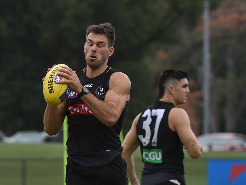 Levi Greenwood (left) could get the nod for a Collingwood recall to face Richmond.