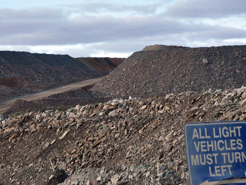 An investigation is underway after a worker died at an underground gold mine in WA.