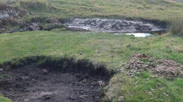 Damage caused by feral horses at Gurrangorambla Creek in the NSW Snowy Mountains region. (HANDOUT/Invasive Species Council)