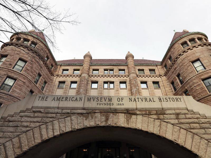 New York's American Museum of Natural History is closing two halls featuring Native American objects (AP PHOTO)