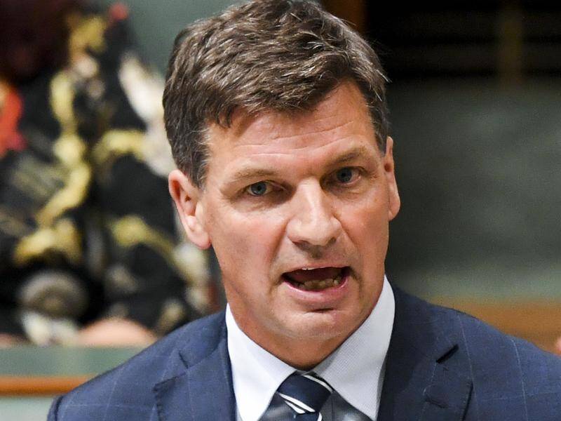 Energy Minister Angus Taylor wants climate-conscious businesses to back up their rhetoric.