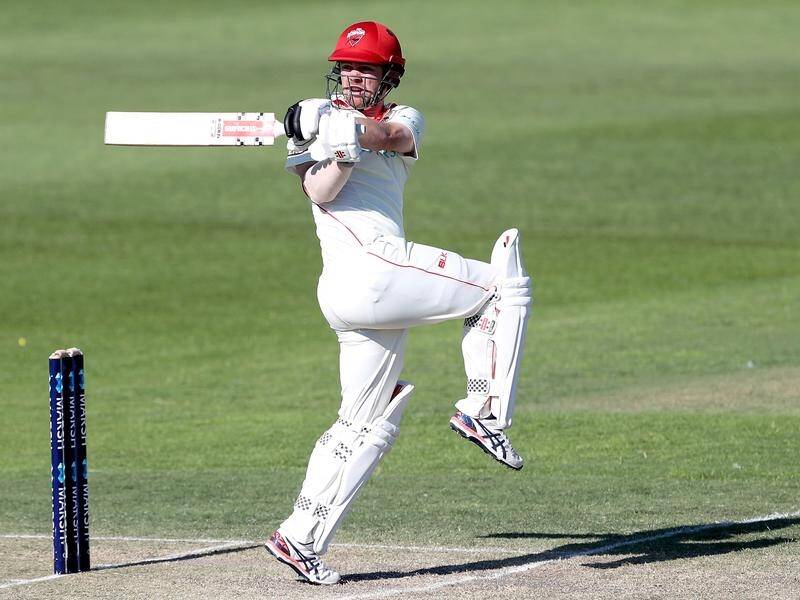 Travis Head hit 223 as South Australia declared on 8-510 in the Sheffield Shield match against WA.