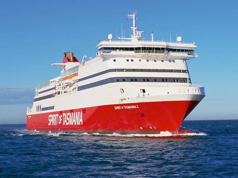 Holly Alexander's dog Ester vanished while on board the Spirit of Tasmania ferry.