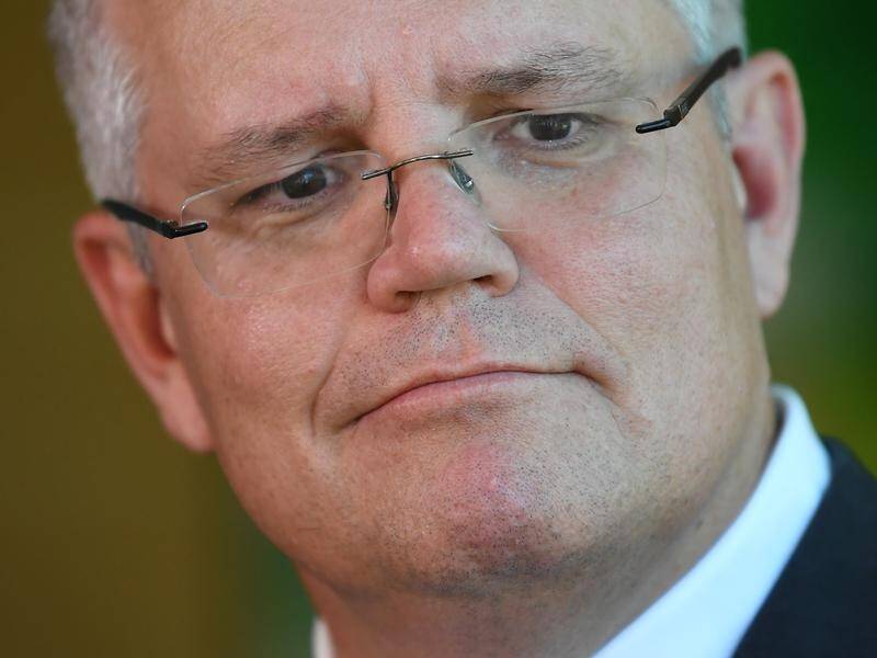 Scott Morrison says cutting immigration would drastically reduce the number of skilled migrants.