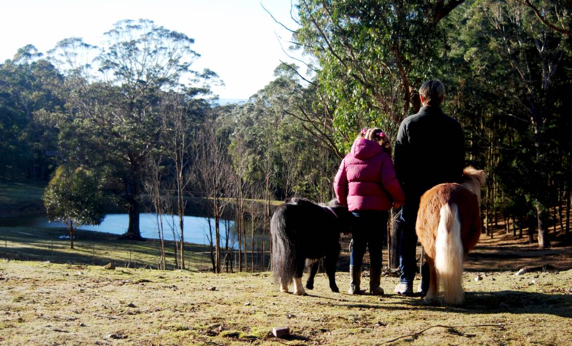 Some are only 70cm tall but these miniature ponies are giving honest feedback to teens in need.