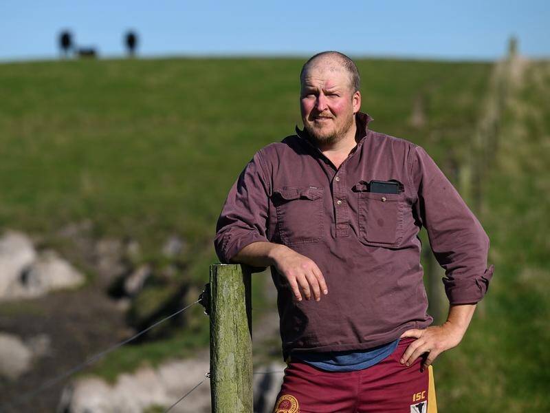 Beef producer Nathan Conley wants a better shipping service for King Island in Tasmania. (James Ross/AAP PHOTOS)