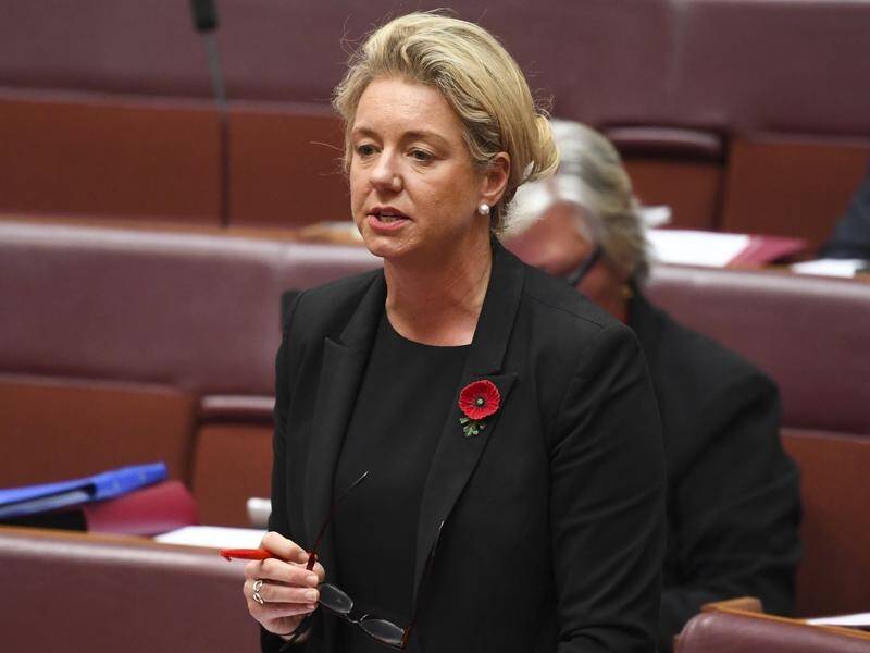 Nationals deputy leader Bridget McKenzie told parliament that "Moree is like a moon landscape".