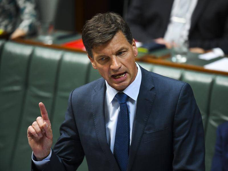 Energy Minister Angus Taylor labelled the climate emergency motion a 'grand symbolic gesture'.
