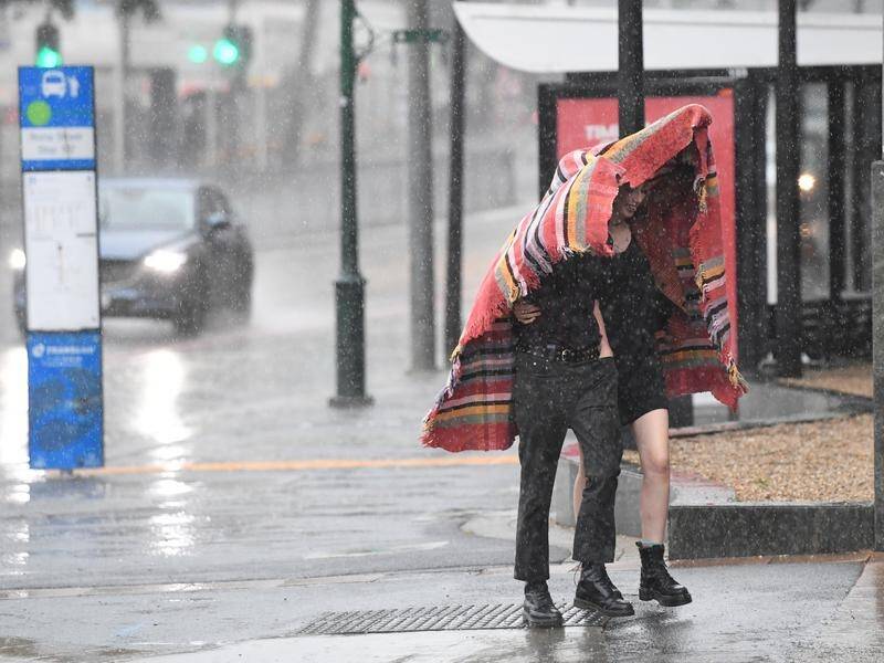 Torrential rain, thunderstorms and wild winds are predicted to hit much of NSW.