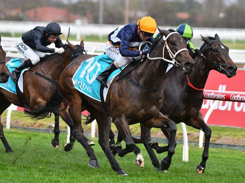 I am Eloquent has earned a Thousand Guineas start after a breaking through at stakes level.